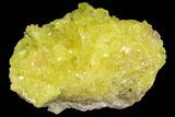 Sulfur Crystals on Matrix - Bolivia #66303-1